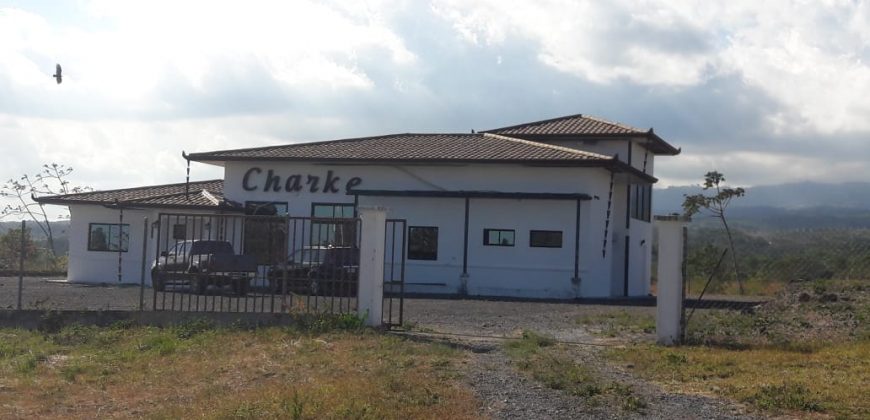PLANTA DE ALIMENTO EN VENTA UBICADA EN BOQUETE
