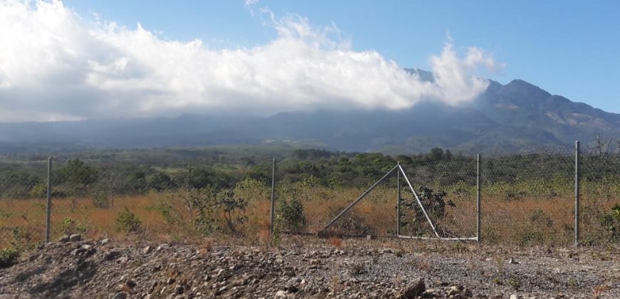 PLANTA DE ALIMENTO EN VENTA UBICADA EN BOQUETE