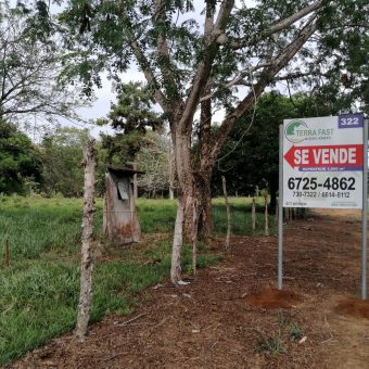 Farm for sale, located in San Pablo Viejo, David, Chiriquí