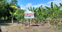 LOT FOR SALE LOCATED IN LAS LAJAS BEACH