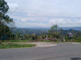 Finca Productiva en Chiriquí: Ganadería, Agricultura y Potencial de Inversión en Renacimiento