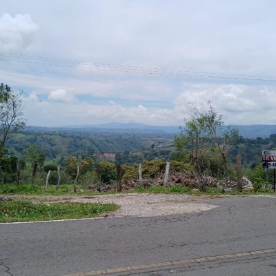 Finca Productiva en Chiriquí: Ganadería, Agricultura y Potencial de Inversión en Renacimiento