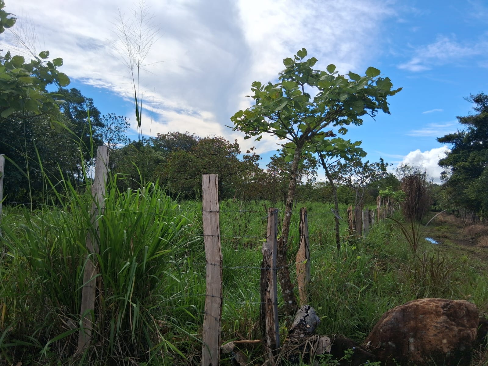 23 HECTARES EN ALTO BOQUETE ZONA RESIDENCIAL