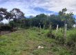 23 HECTARES EN ALTO BOQUETE ZONA RESIDENCIAL