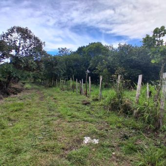 23 HECTARES EN ALTO BOQUETE ZONA RESIDENCIAL
