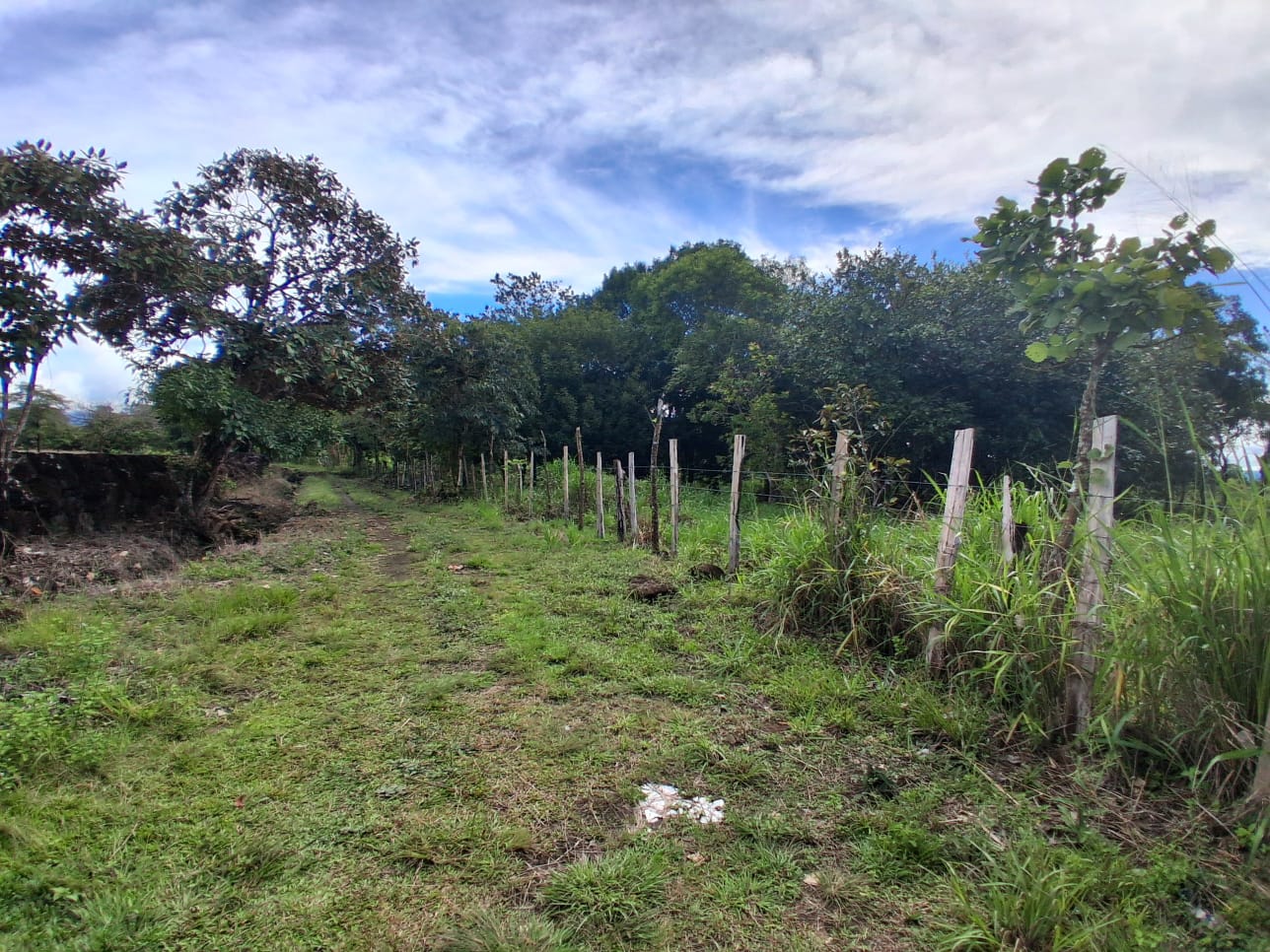 23 HECTARES EN ALTO BOQUETE ZONA RESIDENCIAL