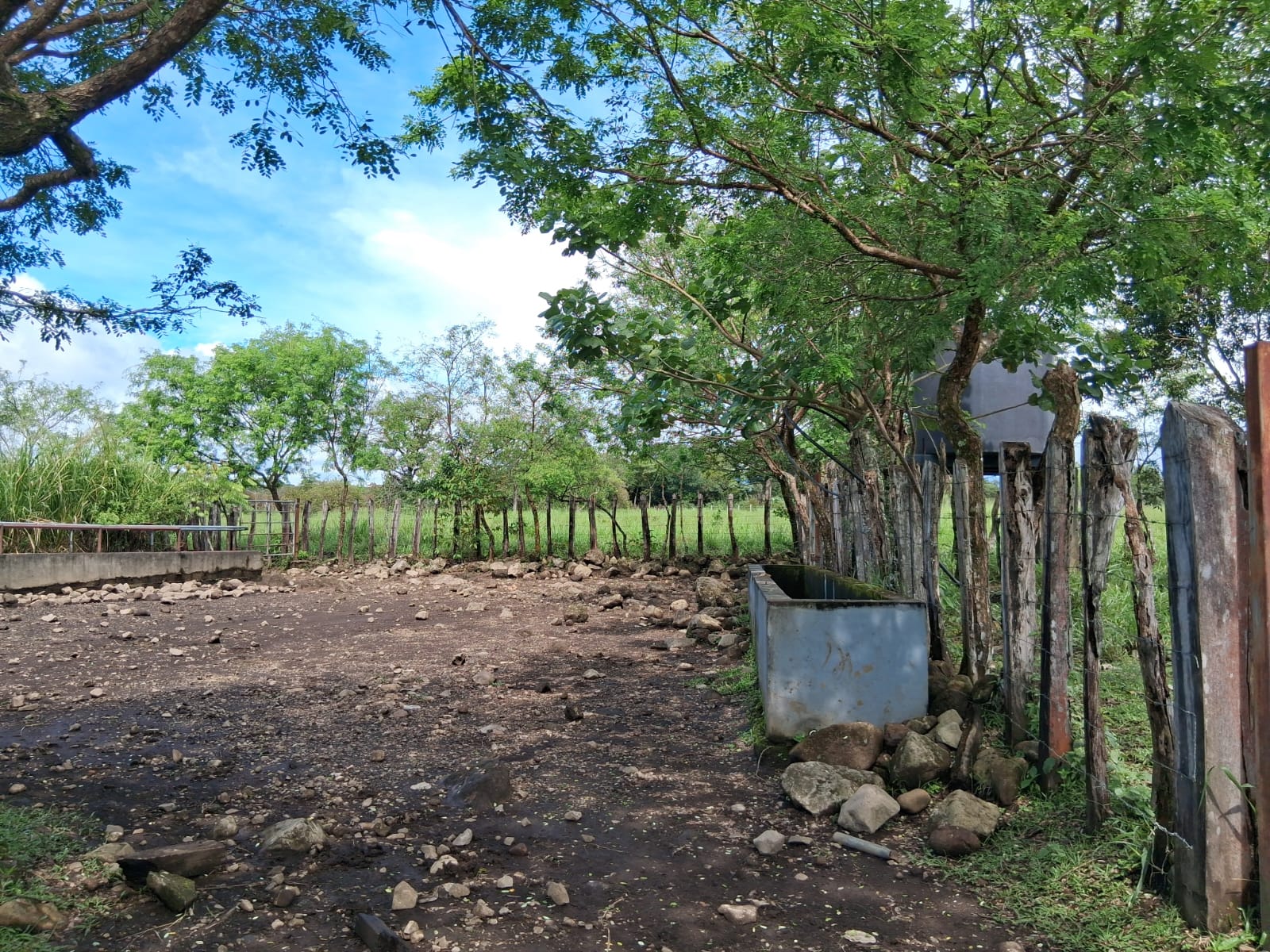 23 HECTARES EN ALTO BOQUETE ZONA RESIDENCIAL