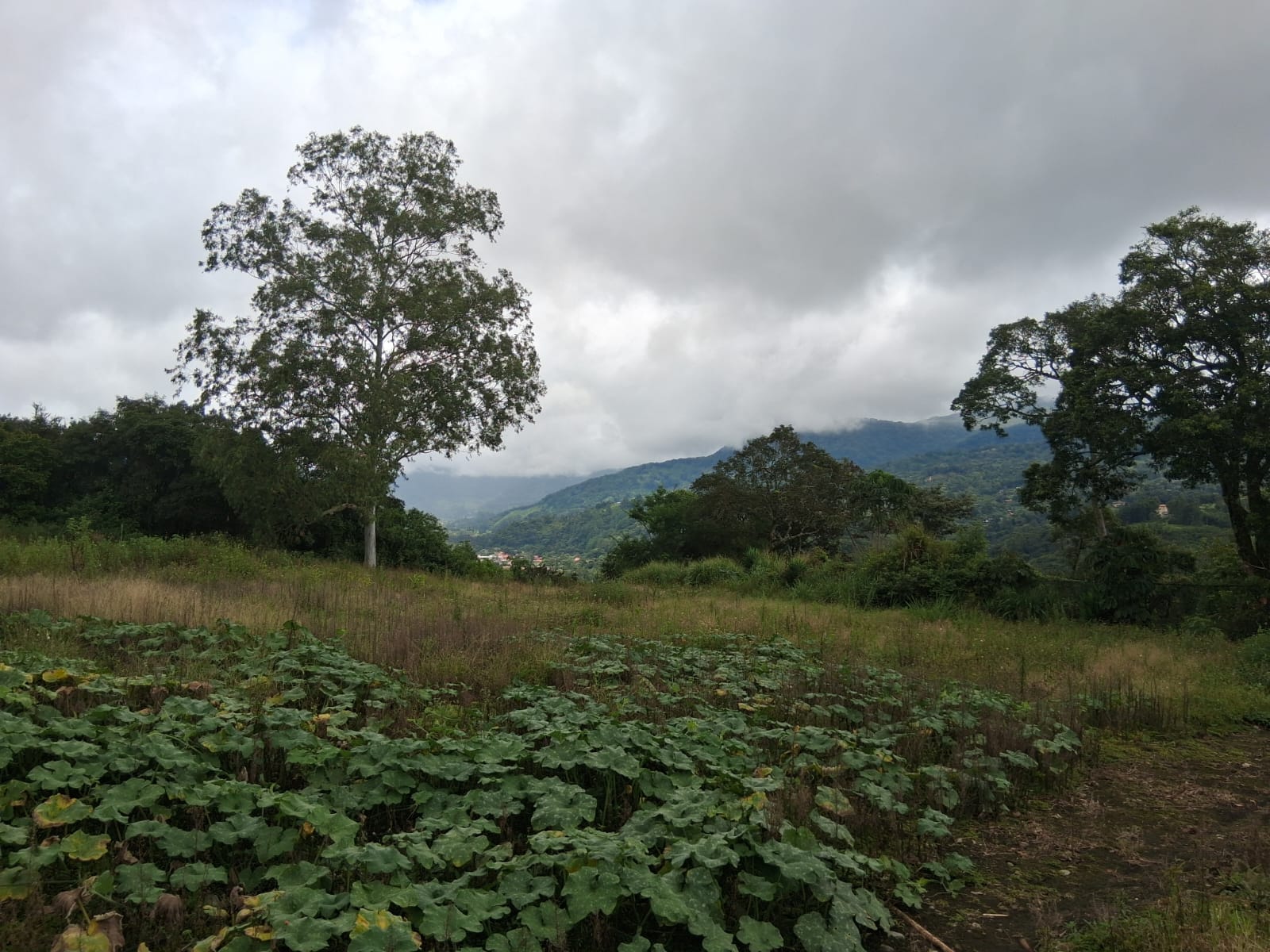 Terreno en Venta en Alto Boquete, Chiriquí – Entrando hacia Volcancito | 6,297.94 m²
