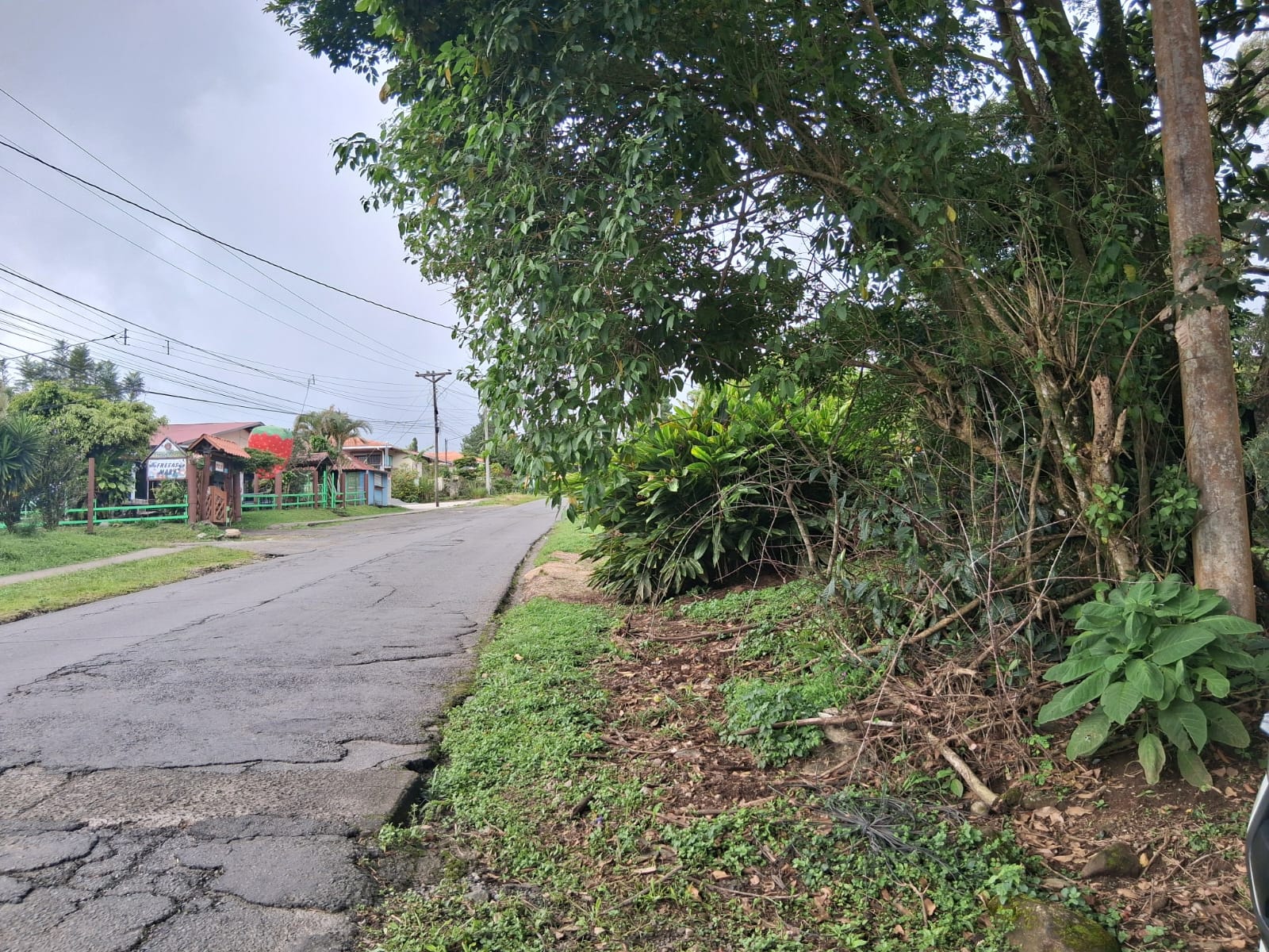 Terreno en Venta en Alto Boquete, Chiriquí – Entrando hacia Volcancito | 6,297.94 m²