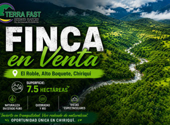 FINCA DE 7.5 HAS EN ALTO BOQUETE