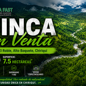 FINCA DE 7.5 HAS EN ALTO BOQUETE