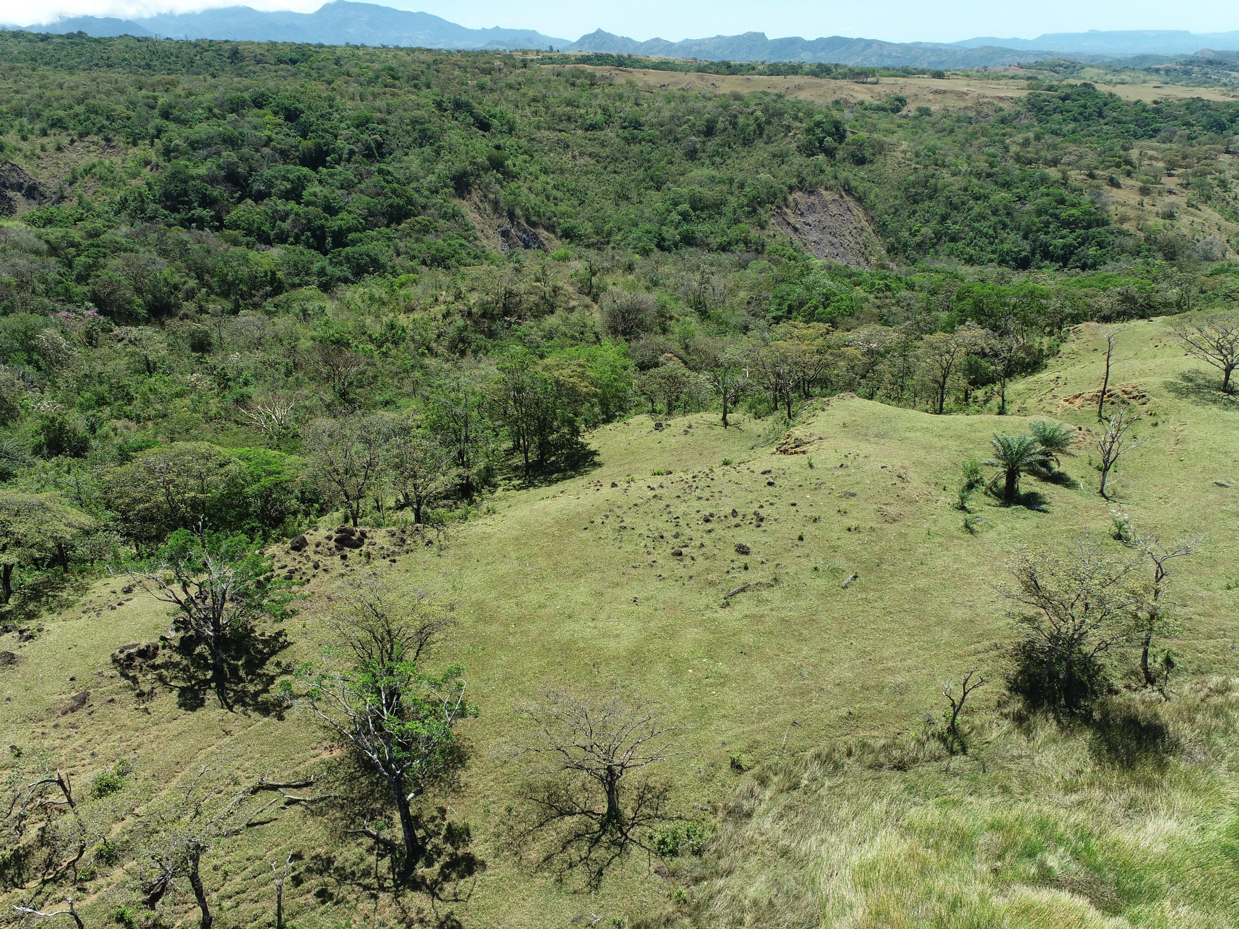 FINCA DE 7.5 HAS EN ALTO BOQUETE
