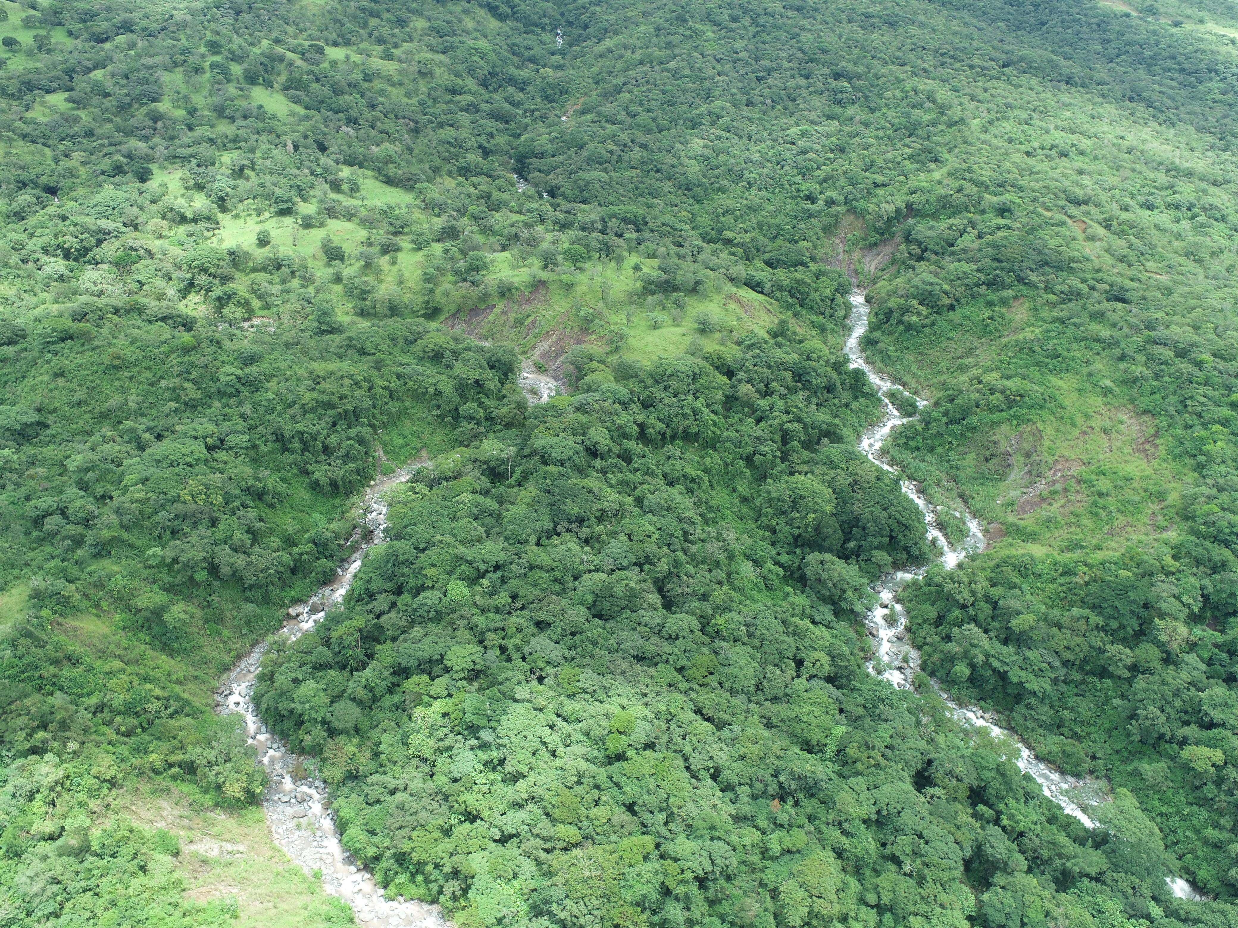 FINCA DE 7.5 HAS EN ALTO BOQUETE