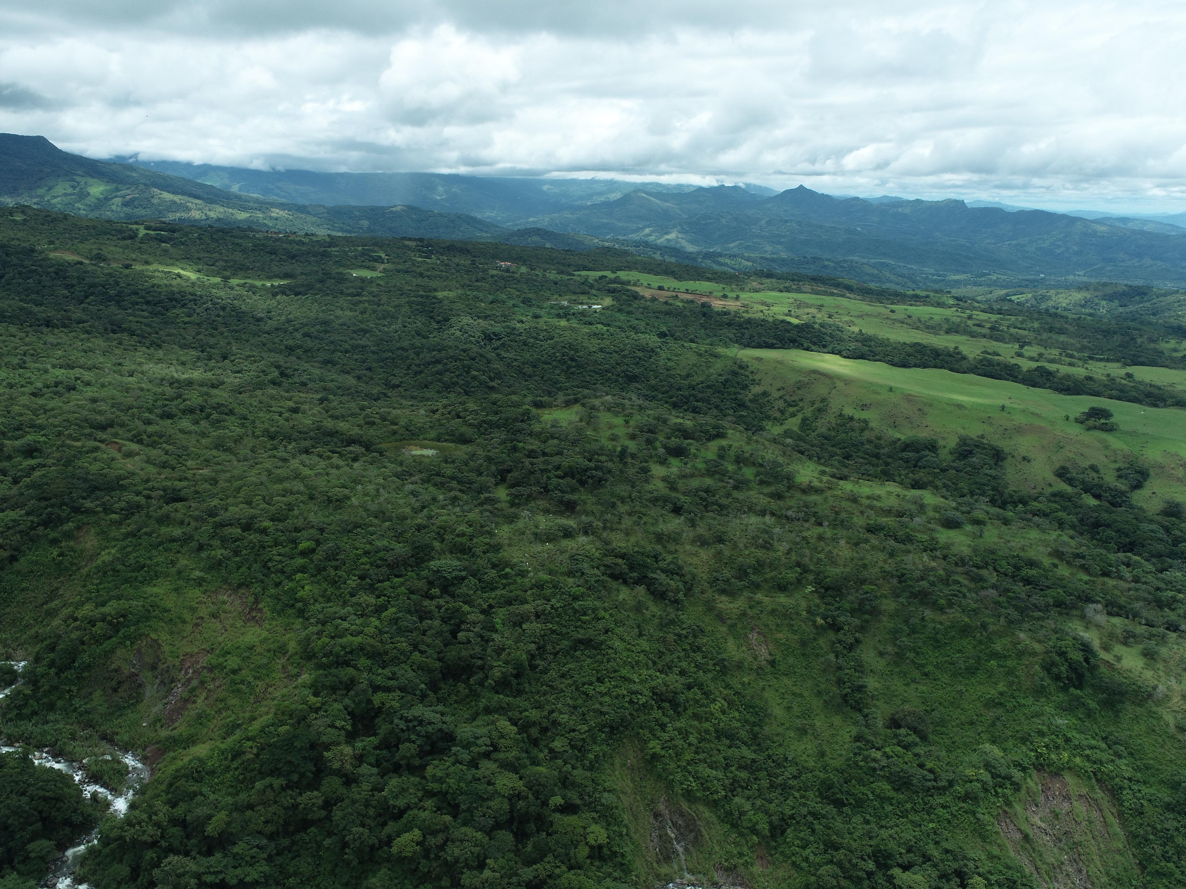 FINCA DE 7.5 HAS EN ALTO BOQUETE