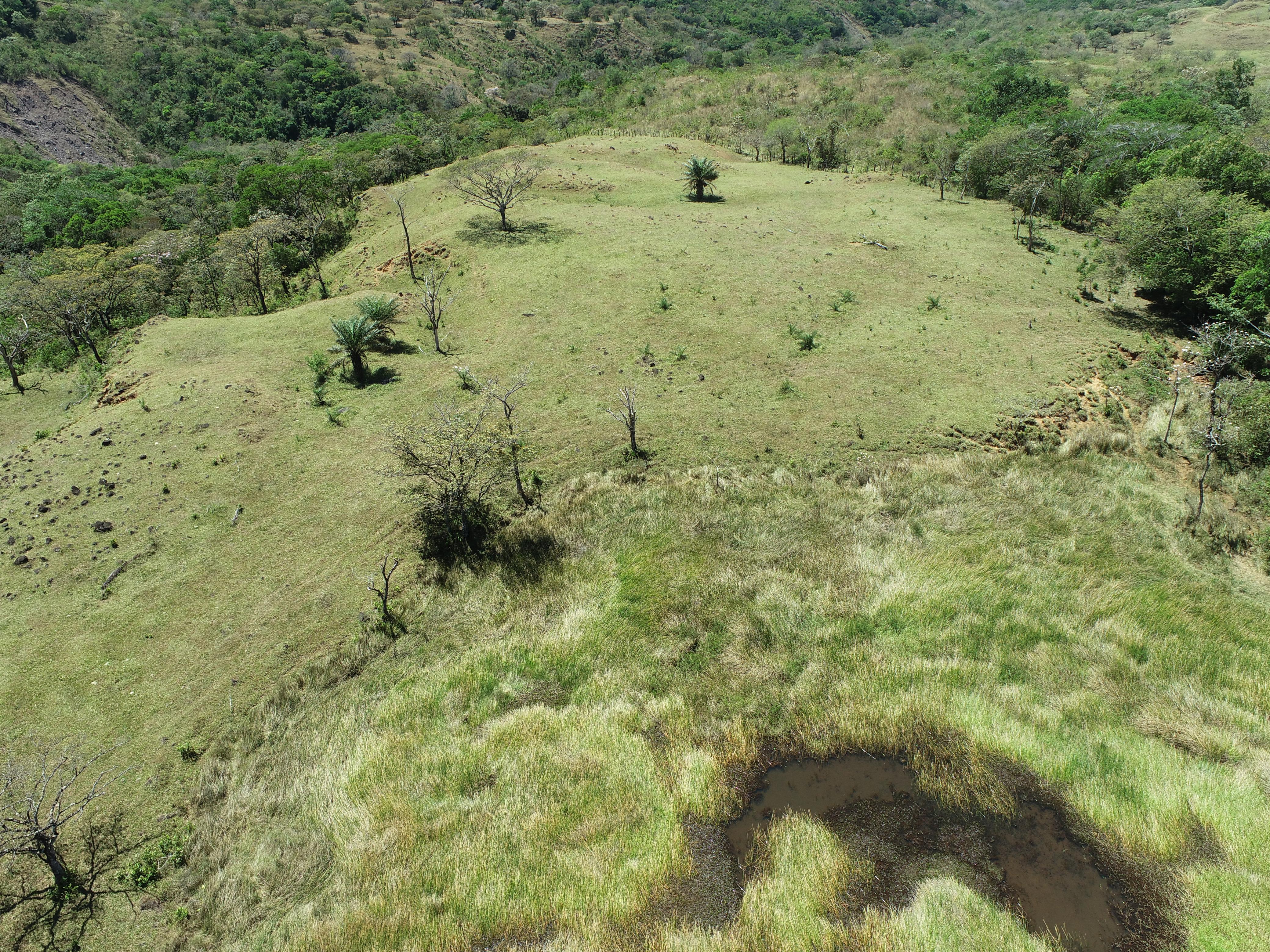 FINCA DE 7.5 HAS EN ALTO BOQUETE