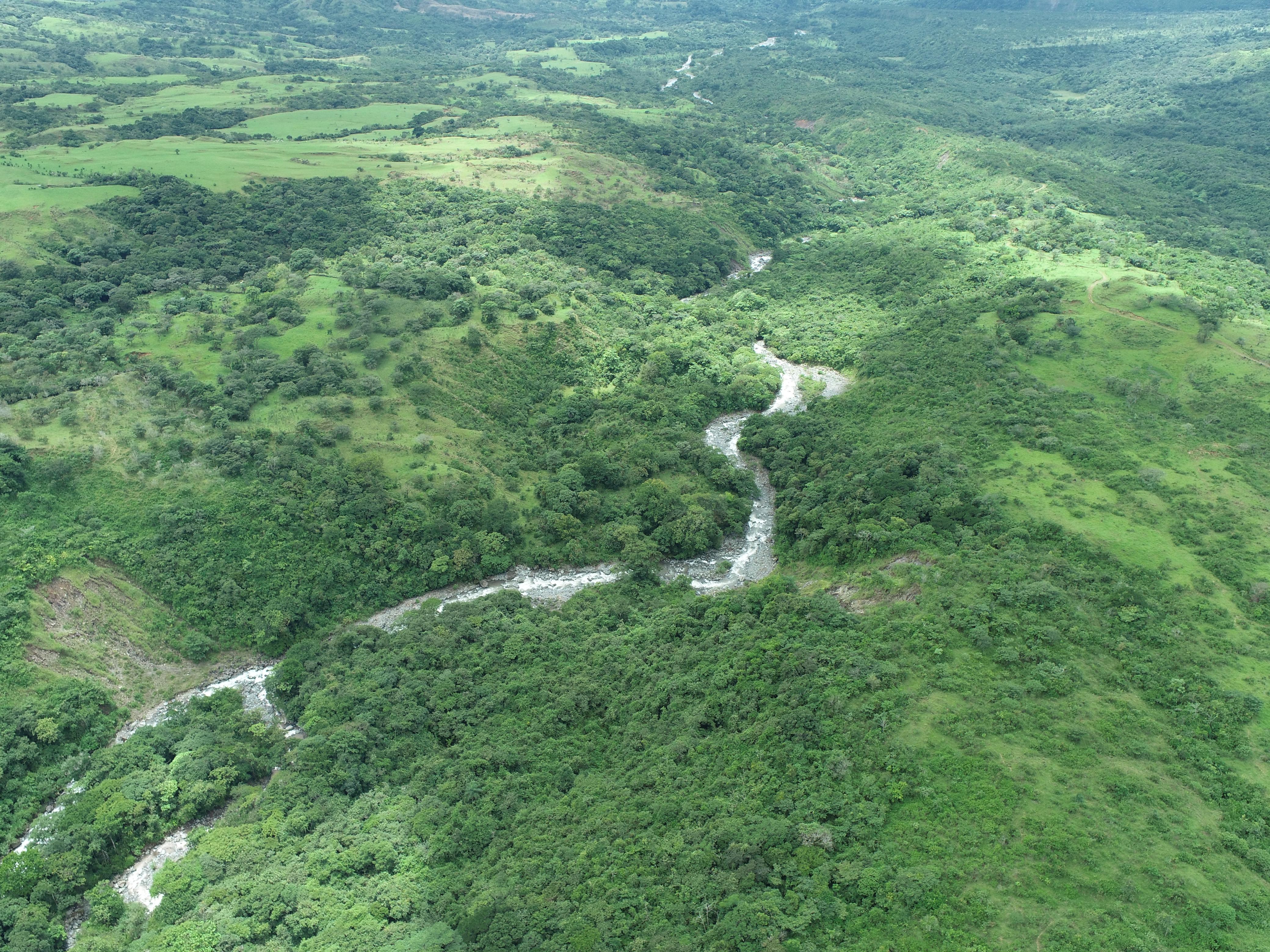 FINCA DE 7.5 HAS EN ALTO BOQUETE