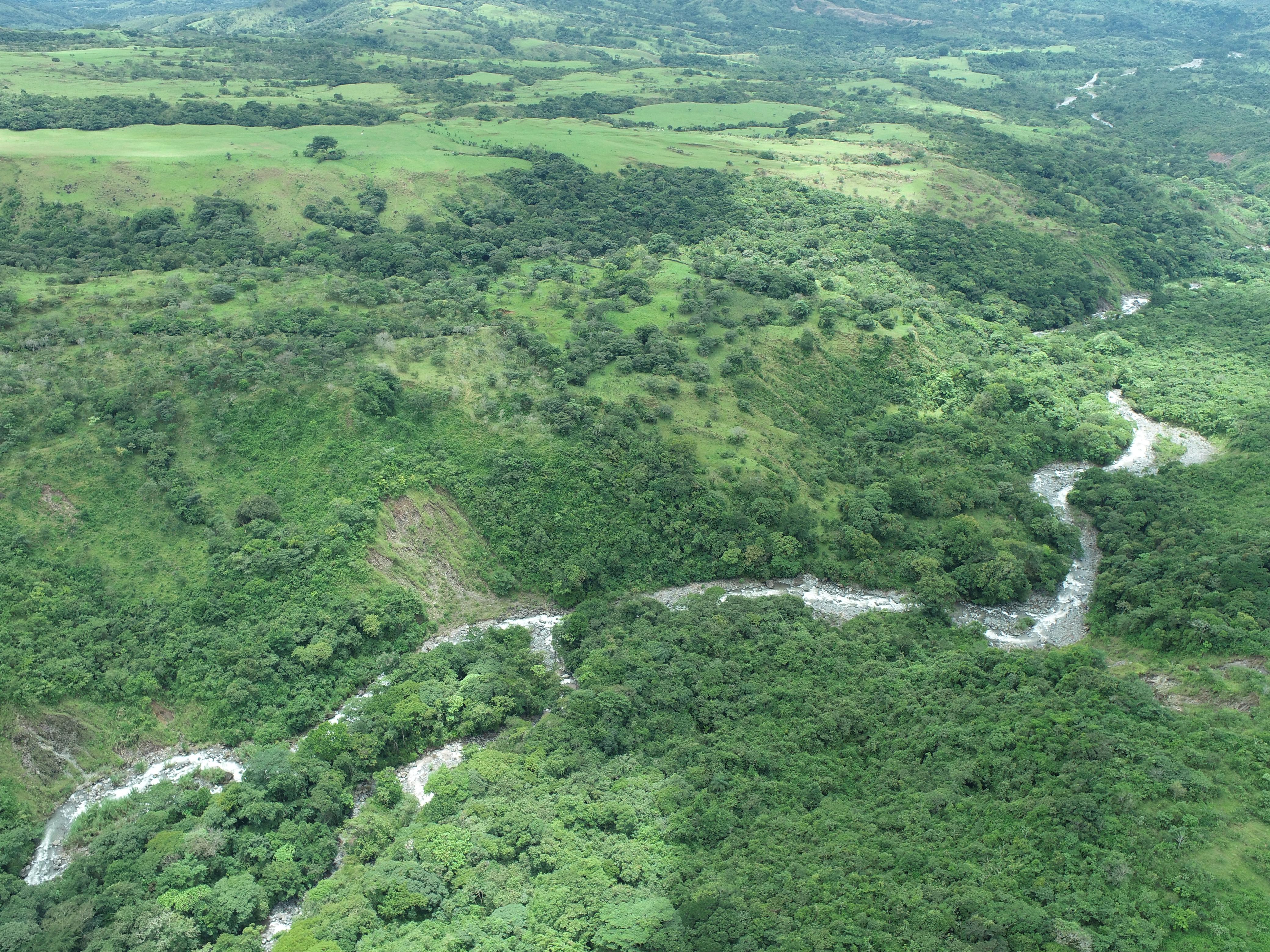 FINCA DE 7.5 HAS EN ALTO BOQUETE